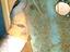 Immagine 7