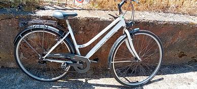 Bici binchi