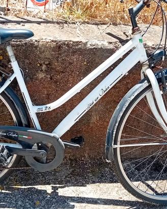 Bici binchi