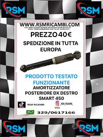AMORTIZATORI POSTERIORE DESTRO SMART 450