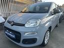 fiat-panda-1-2-easy-2019
