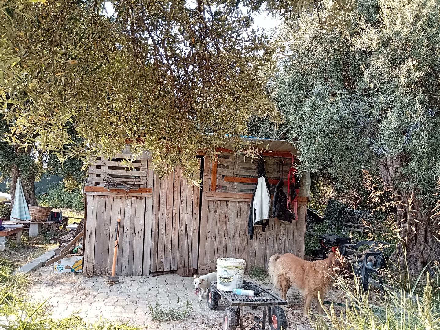 Terreno agricolo 2000m² al fianco di Capo d'Orlano - Vista 5