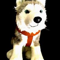 Peluche Husky originale Lapponia