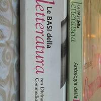 Set  2 libri  Paolo Di Sacco Edizioni Scolastiche