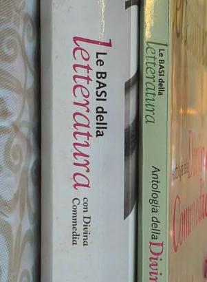 Set  2 libri  Paolo Di Sacco Edizioni Scolastiche