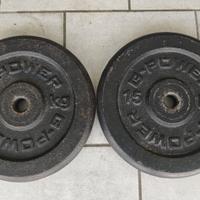 Coppia dischi palestra 2x15 kg