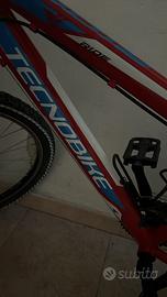 Tecnobike 24” Ride