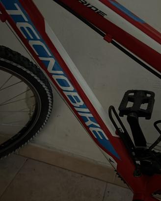 Tecnobike 24” Ride