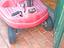Immagine 2