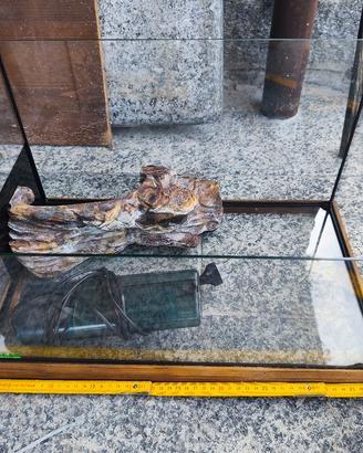 piccolo acquario