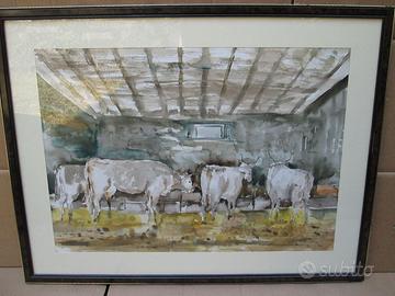 QUADRO SLOVENIA MARJAN MIKLAVEC