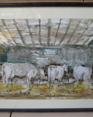 QUADRO SLOVENIA MARJAN MIKLAVEC