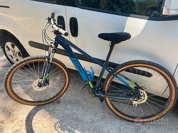 Mtb Cube race