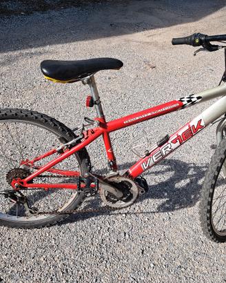 bicicletta ragazzo 24"