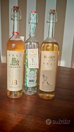 grappe e Brandy Poli J. 