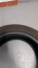Gomme estive.