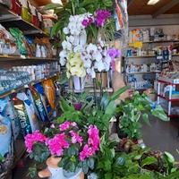 Attività commerciale avviata