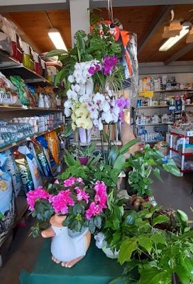 Attività commerciale avviata