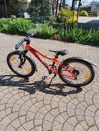 Mtb Scott scale jr20
