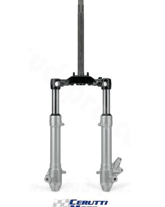 Forcella completa Yamaha Aerox Nitro 03-12