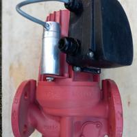 Pompe per Caldaia GRUNDFOS