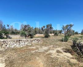 Terreno Agricolo Ugento [Cod. rif 3156615VRG]