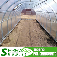 Serra tunnel 8x3 policarbonato pesante neve serre