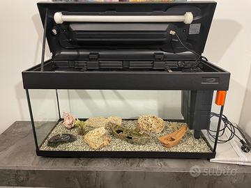 Acquario