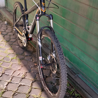 Bicicletta mtb