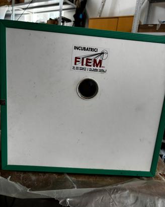Incubatrice Fiem
