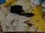 Immagine 2