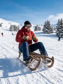slittino vintage DAVOS