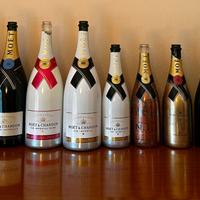 Collezione 14 bottiglie vuote Moet Chandon