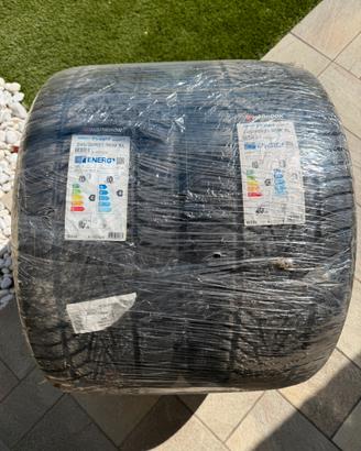 Pneumatici invernali Hankook 245/35 R21