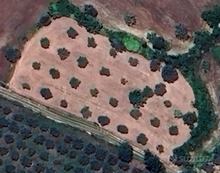 Terreno a uliveto Palazzolo Acreide