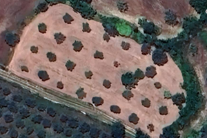 Terreno a uliveto Palazzolo Acreide