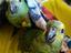 Immagine 1