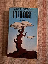 LIBRO -FURORE