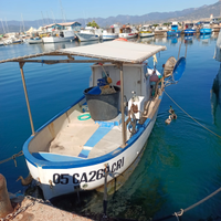 Gozzo con licenza 1gt