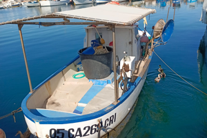 Gozzo con licenza 1gt