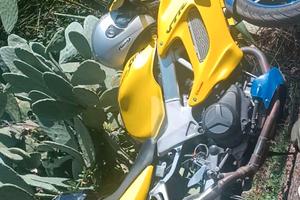 VTR 1000 Firestone