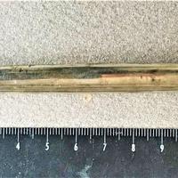 Vecchie "antiche" penne (a pennino)