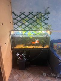 ACQUARIO 250L COMPLETO