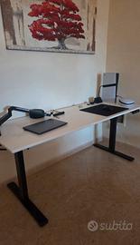 Scrivania Flexispot E1 Pro
