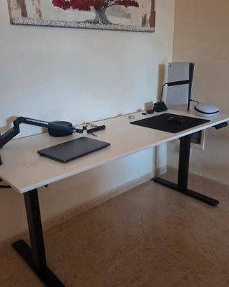 Scrivania Flexispot E1 Pro