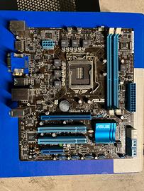 Scheda Madre Asus p8h67-m le