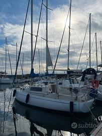 Barca a vela albin vega 27