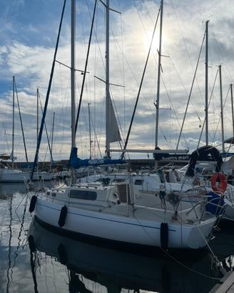 Barca a vela albin vega 27