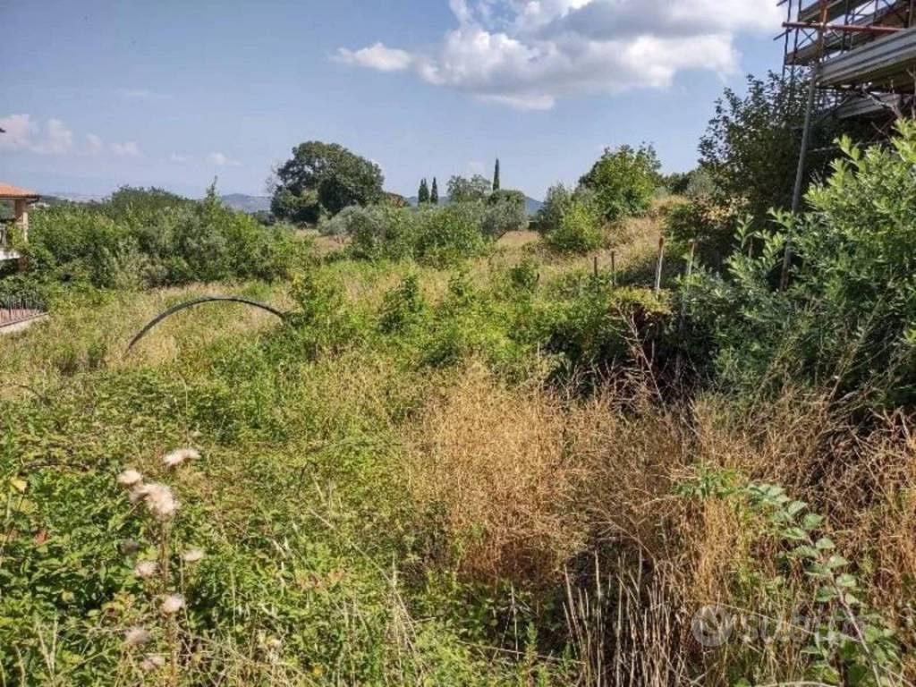 Immobile in asta di 877 m² a Città della Pieve - Altro