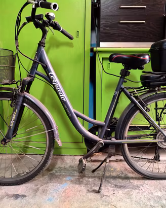 bici elettrica